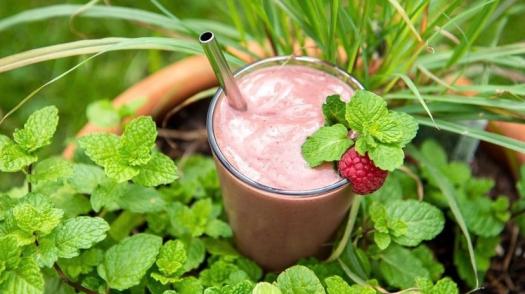 Frozen Garden for easy, nutrient-dense, real frozen smoothies, oats and treats